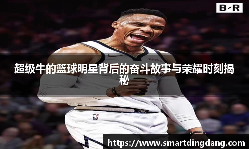 星空xingkong官方网站
